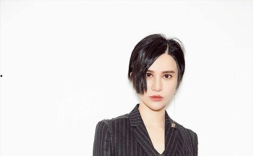 明星黑料网,明星黑料网背后的真相与影响