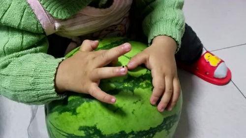 吃瓜用手砸,夏日吃瓜新风尚