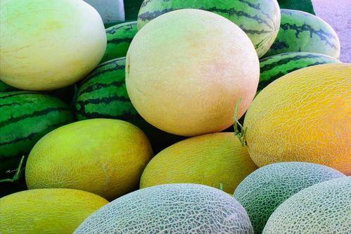 吃瓜天堂地址,探寻网络热点的神秘魅力