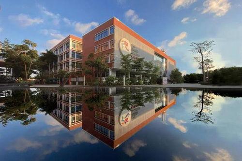 国际学校吃瓜,揭秘校园里的八卦趣事