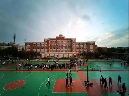 国际学校吃瓜,揭秘校园里的八卦趣事