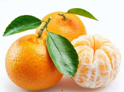 吃瓜的大橘子,揭秘瓜界风云