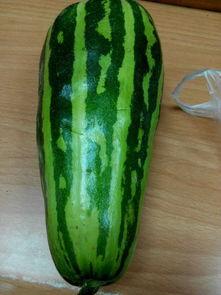 什么叫吃瓜了,网络时代的围观文化解析