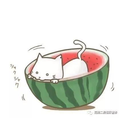 吃瓜江流儿,揭秘娱乐圈幕后故事