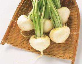 夏瓜秋吃,四季更替中的美味时光