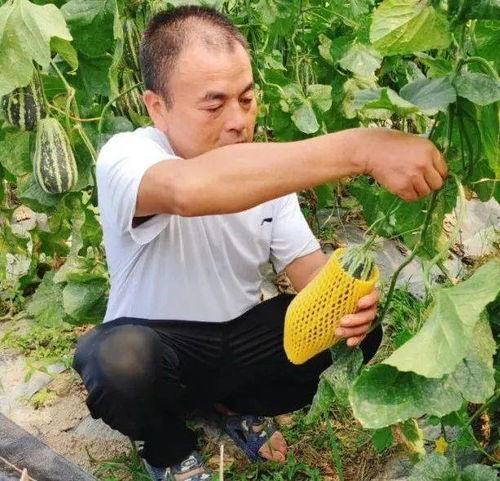 宠尤吃瓜,揭秘娱乐圈背后的那些事儿