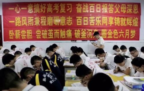 衡水学院吃瓜,揭秘校园美食风云录