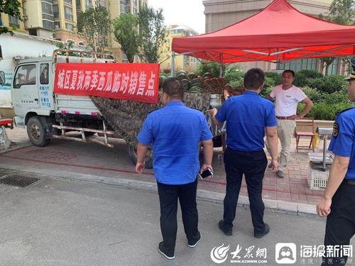 任城吃瓜群众,揭秘网络热议背后的真相与笑料