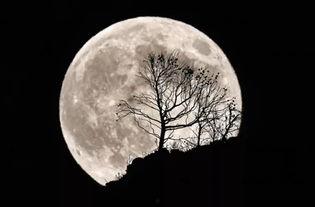 拍月亮吃瓜,一场别开生面的赏月盛宴