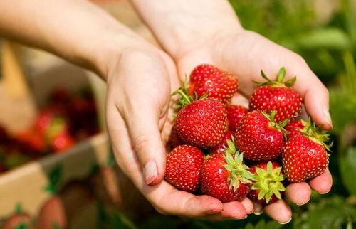 草莓小甜心吃瓜视频,揭秘娱乐圈幕后故事