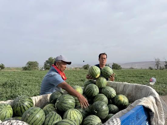 归国吃瓜,揭秘海外留学生归国后的生活百态