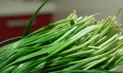 吃瓜蒙主韭菜,网络热词背后的社会现象