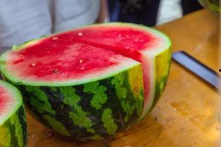 吃瓜小群名称,一场网络社交的狂欢盛宴