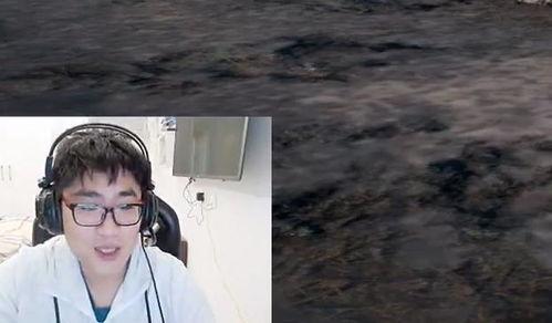 今日吃瓜隔壁老王,揭秘娱乐圈最新热点