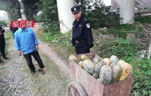 宣城吃瓜事件,一场网络热议背后的真相探寻