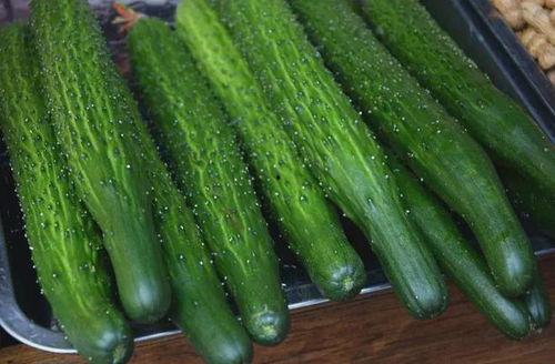 吃瓜q号,网络红人的崛起与影响力