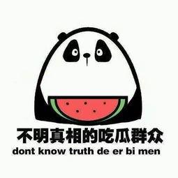 天天吃瓜搞笑文案,天天吃瓜，欢乐不断