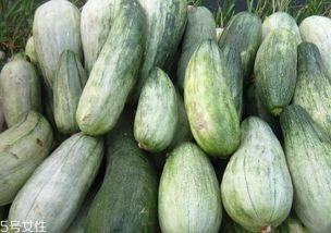 酥瓜削皮吃,尽享清新口感与营养