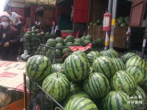 版纳 吃瓜,尽享热带风情