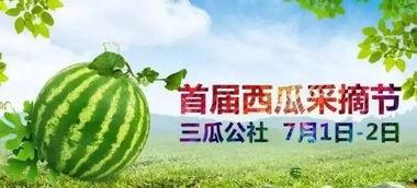三瓜公社群众吃瓜,群众共享欢乐，吃瓜成风