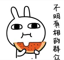 吃瓜不忘保熟人,揭秘娱乐圈的生存法则