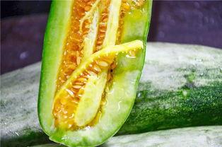 吃瓜怎么吃才甜,揭秘吃瓜技巧，让你尽享甜蜜滋味