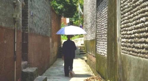 永店吃瓜事件,揭秘网络舆论背后的真相与反思