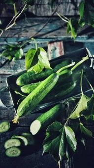 吃瓜知道瓜甜的成语,成语智慧中的生活哲理