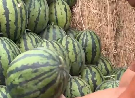 全网最热门吃瓜,揭秘最热门吃瓜事件背后的真相