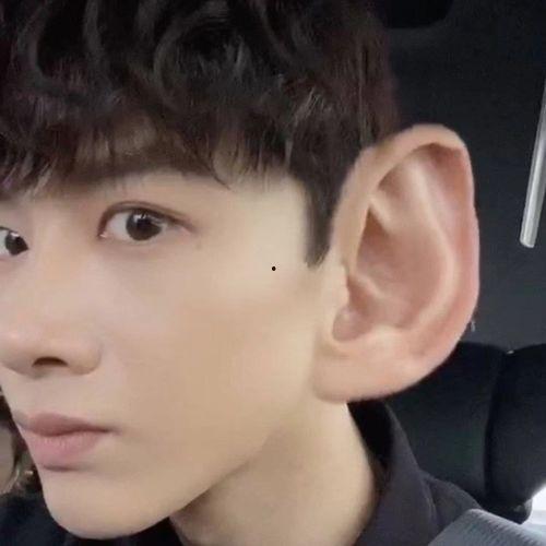 檀健次吃瓜表情,解锁娱乐圈最新“表情包”密码