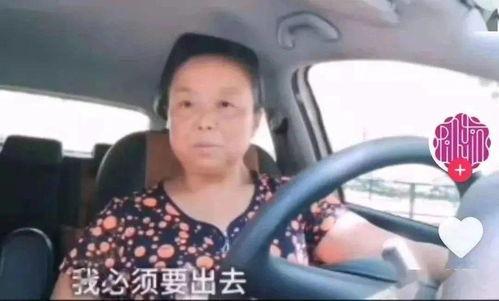 吃瓜台湾阿姨事件,揭秘网络舆论的狂欢与反思