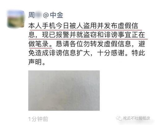 中金报告吃瓜,吃瓜群众背后的市场洞察