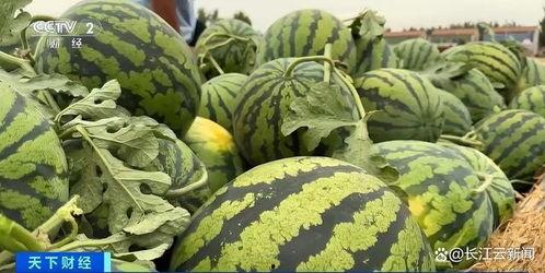 全网最热门吃瓜,揭秘最热门吃瓜事件背后的真相