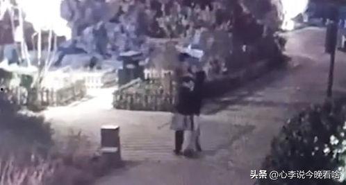 赵县吃瓜事件视频