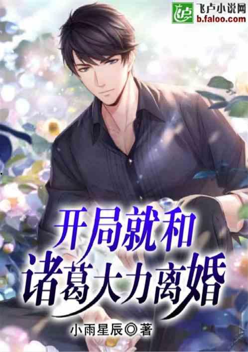 吃瓜大亨离婚小说,吃瓜大亨的离婚风云