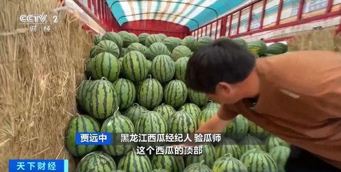 各地吃瓜群,网络时代的“瓜田”众生相