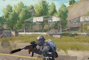 哨兵模式情侣吃瓜,甜蜜吃瓜日常，揭秘甜蜜背后的秘密