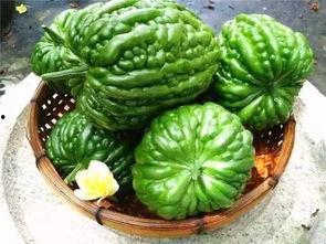 瓜哥带你吃最香的瓜,尽享最香的瓜之旅