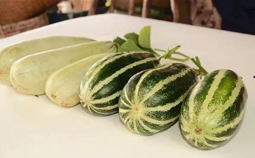 瓜哥带你吃最香的瓜,尽享最香的瓜之旅