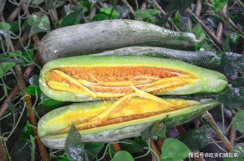 瓜哥带你吃最香的瓜,尽享最香的瓜之旅