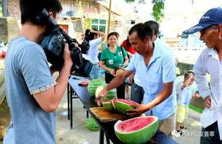 地里摘瓜吃的视频,跟随视频体验地里摘瓜的乐趣
