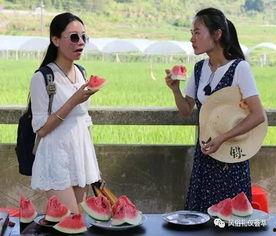 地里摘瓜吃的视频,跟随视频体验地里摘瓜的乐趣