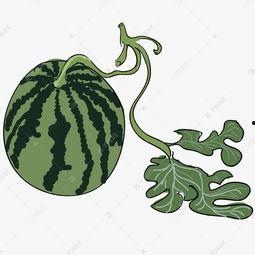 大瓜吃瓜素材图片大全高清,高清素材图片大全，带你领略视觉盛宴