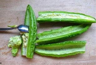 直接吃的凉瓜,直接食用的凉瓜，清爽一夏