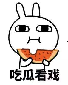 吃瓜棒啥意思,揭秘“吃瓜棒啥”背后的网络流行语奥秘