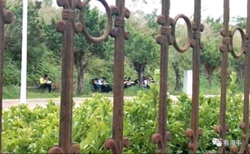 蹲在草丛里吃瓜,蹲地吃瓜的惬意生活