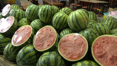 利元亨吃瓜,揭秘瓜界新宠，探寻瓜农致富之路