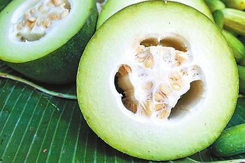 利元亨吃瓜,揭秘瓜界新宠，探寻瓜农致富之路