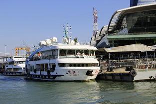 厦门轮渡吃瓜事件,一场意外引发的全民热议