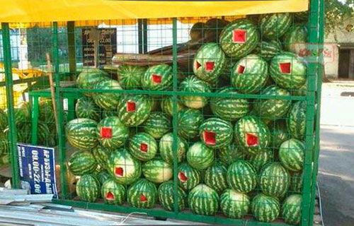 夜晚被强迫吃瓜,一场被迫的味蕾冒险